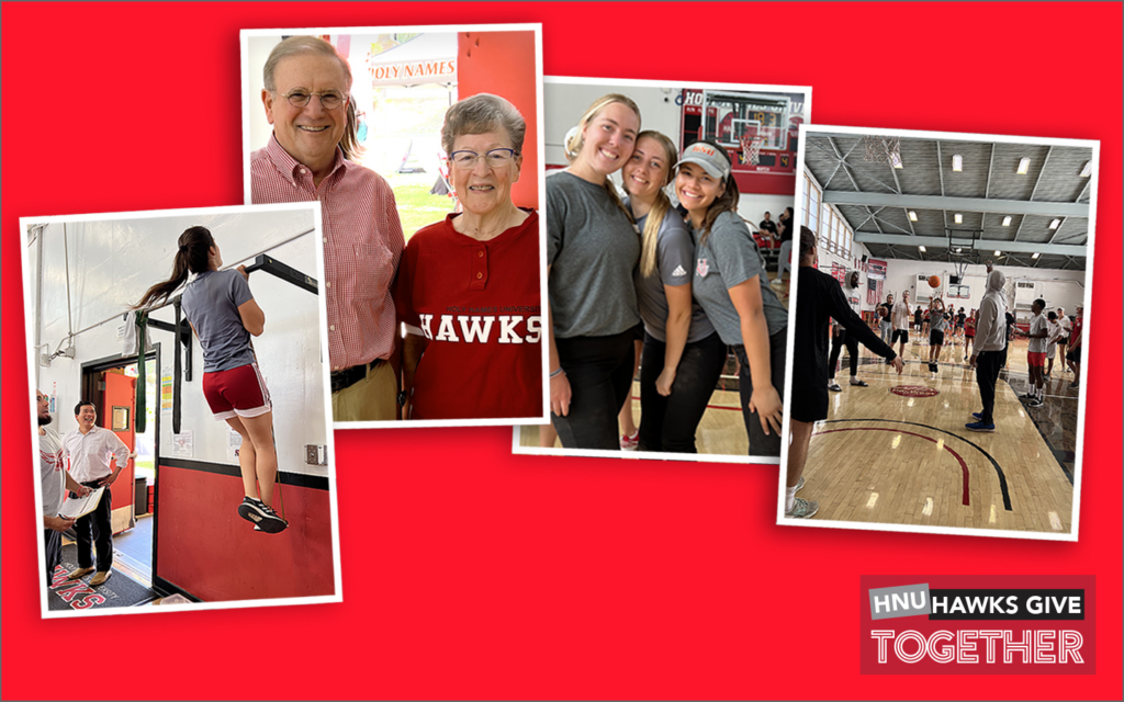 img HNU Hawks graphic